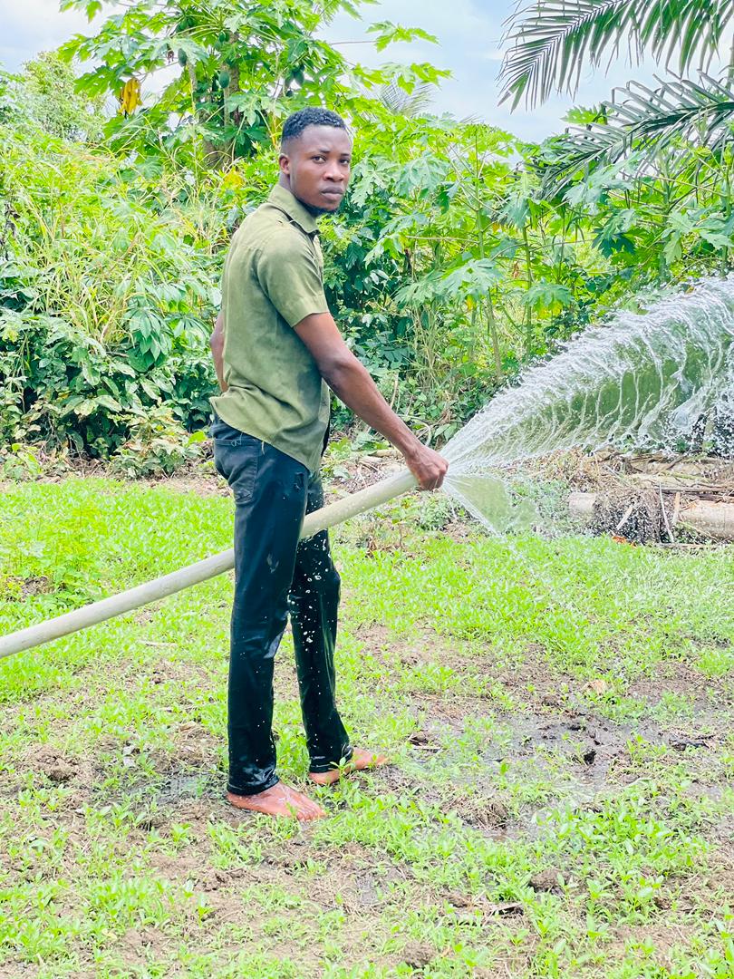 Champ agricole bio au Bénin